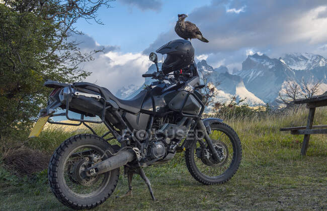 Oiseau sur moto hors route. Chili — Photo de stock