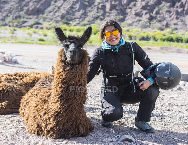 Woman in motorcycle gear crouching next to llama, Salta — Stock Photo