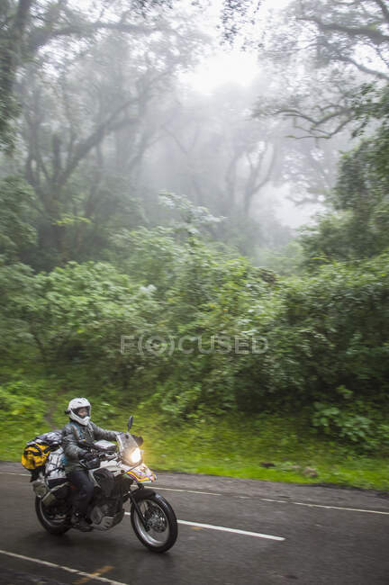 Mujer montando en moto de turismo a través de la selva tropical, Jujuy / Argentina - foto de stock