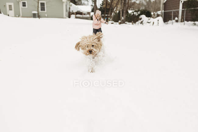 Young girl chasing pet dog through snow in backyard — Stock Photo