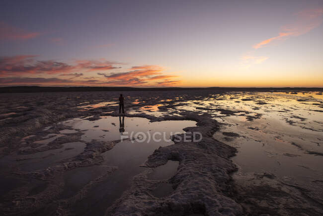 Silhueta de uma pessoa em pé em uma área de salinas ao pôr do sol — Fotografia de Stock