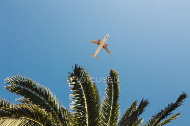 Літак літає в небі — стокове фото