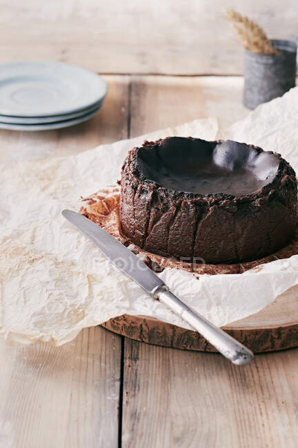 Chocolate cake with icing sugar — Stock Photo