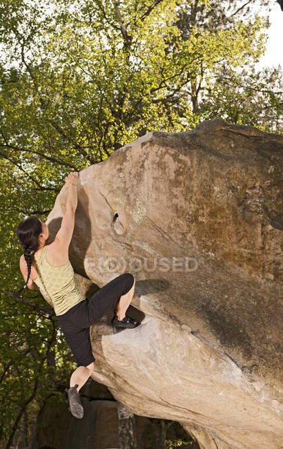 Donna matura che bouldering nella foresta di Fontainebleau vicino a Parigi — Foto stock