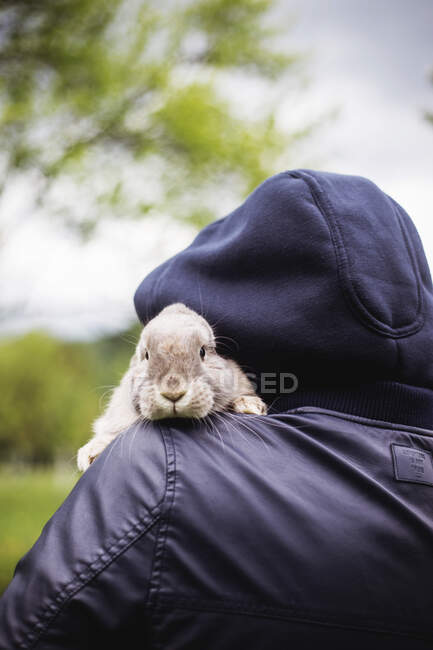 Back view of man holding bunny on his shoulder — Stock Photo