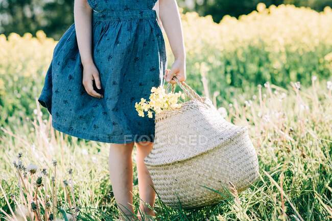 Chicas jóvenes manos sosteniendo una cesta de flores al aire libre en verano - foto de stock