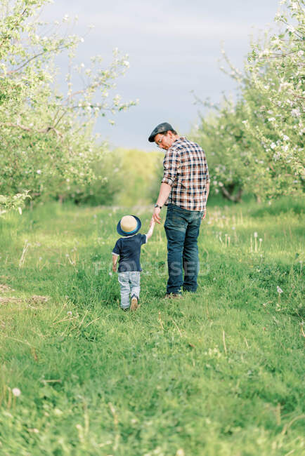 Батько і його маленький син ходять крізь квітучий яблучний сад — стокове фото