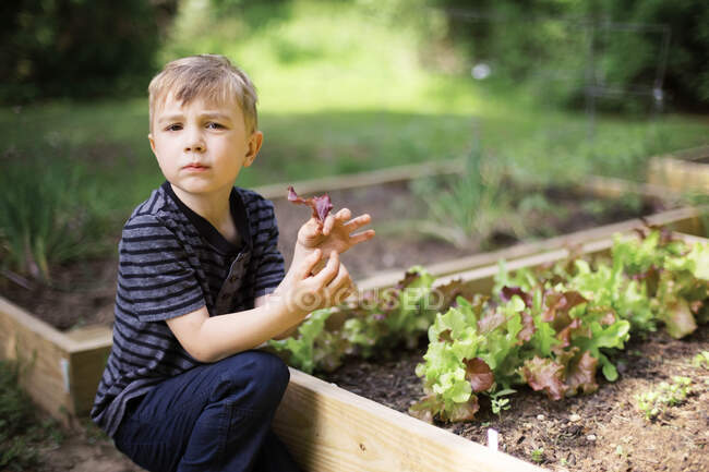 Маленький хлопчик допомагає собі у здоровому перекусі в саду — стокове фото