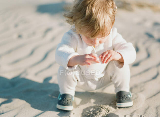 A little toddler girl playing at the beach with a sea shell — Stock Photo