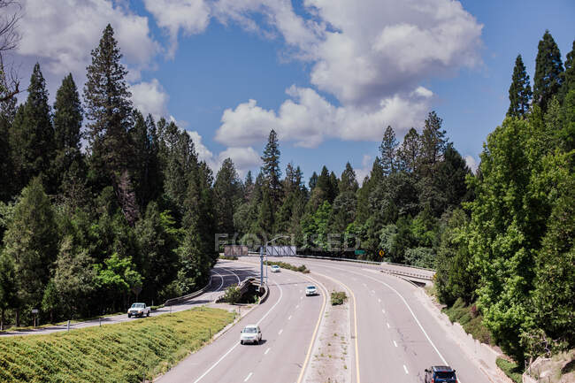 Autostrada attraverso la foresta Tranquillo Paese Strada attraverso gli alberi — Foto stock