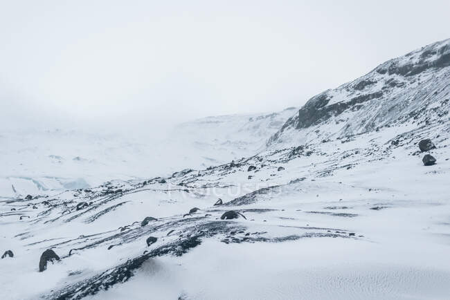 A Cold glacier southwest Iceland — Stock Photo