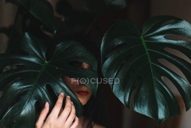 Bella ragazza bruna con foglie di monstera tropicale su sfondo scuro — Foto stock
