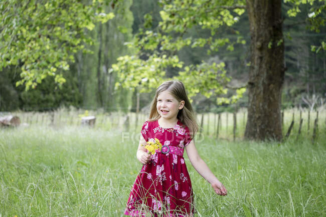 Молода дівчина проходить через довгу зелену траву, тримаючи жовті квіти — стокове фото