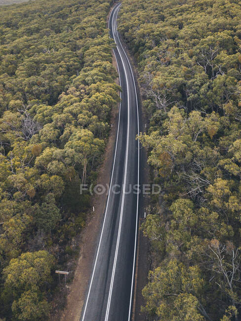 Winding road through lush forest at the Grampians National Park, Victoria, Australia. — Foto stock