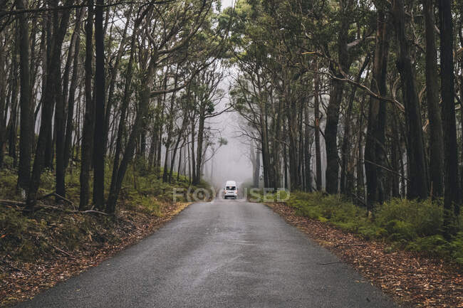 Campervan fährt an einem nebligen Tag durch den üppigen Wald des Grampians National Park, Victoria, Australien — Stockfoto