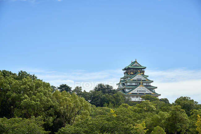 Castillo de Osaka en Osaka en verano. Japón. - foto de stock
