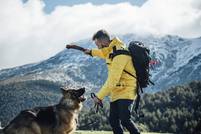 Молодий чоловік з жовтим піджаком і рюкзаком бавиться з німецьким псом - пастухом у горах.. — стокове фото