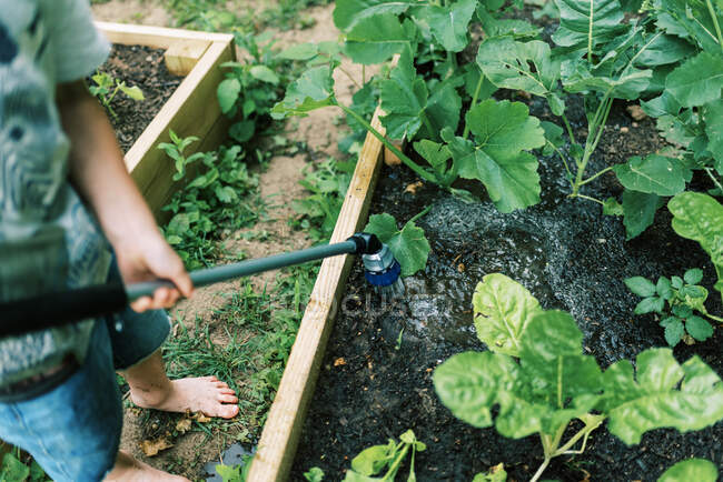 Un bambino che fa il suo dovere di innaffiare gli orti — Foto stock