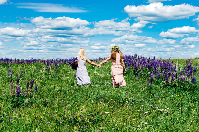 Девушки ходят вместе по полю — стоковое фото