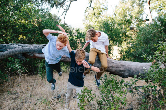 Dois meninos tiram uma queda de um grande ramo, enquanto um terceiro fica colocado — Fotografia de Stock