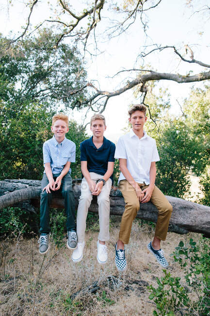 Porträt von drei hübschen Jungen, die auf einem Ast sitzen — Stockfoto