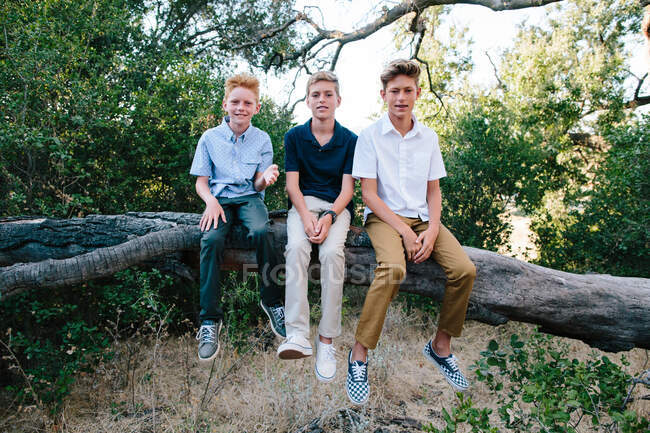 Porträt von drei hübschen Jungen, die auf einem großen Ast sitzen — Stockfoto