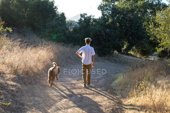 As costas de um menino e seu cão andando em um trilho — Fotografia de Stock
