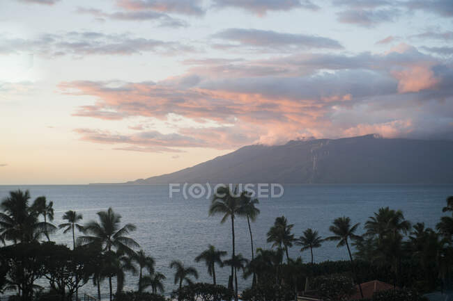 Vista del atardecer de palmeras y montañas en Maui - foto de stock