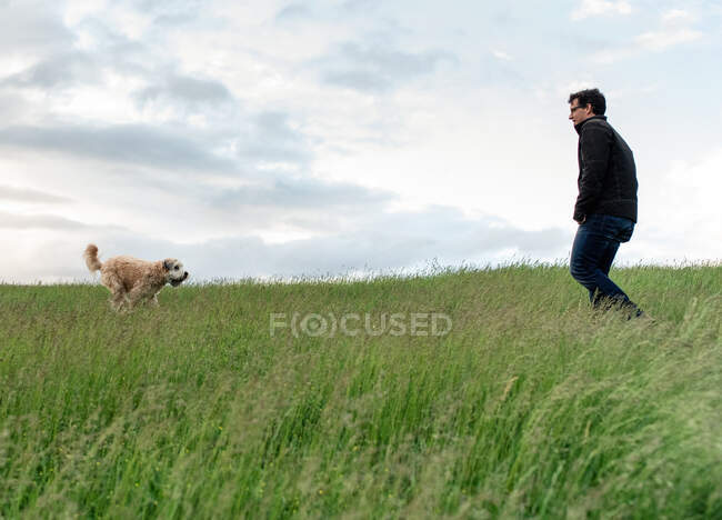Cão correndo para proprietário masculino através de um campo gramado alto. — Fotografia de Stock