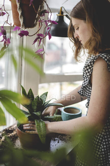 Jovem mulher repots uma planta e trabalha suas mãos no solo — Fotografia de Stock