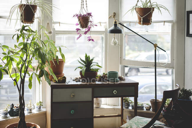 Schreibtisch im hellen Arbeitszimmer mit Pflanzen und großen Fenstern — Stockfoto