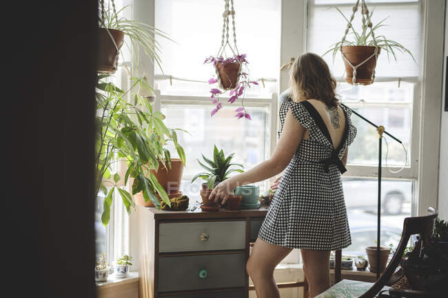 Junge Frau im Kleid umtopft ihre Pflanzen am Schreibtisch — Stockfoto