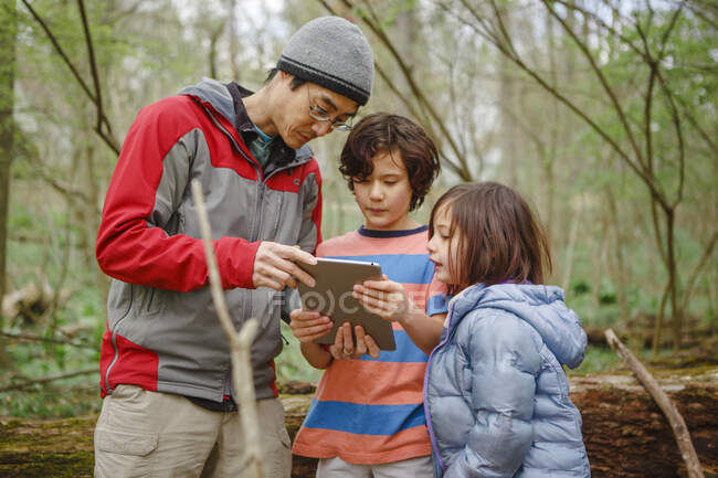Un père et des enfants regardent une tablette lors d'une promenade dans les bois — Photo de stock