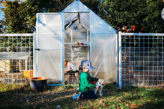 Young boy petting a dog in front of a greenhouse — Stock Photo