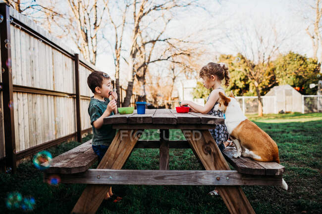 Брат и сестра обедают за столом для пикника с собакой — стоковое фото
