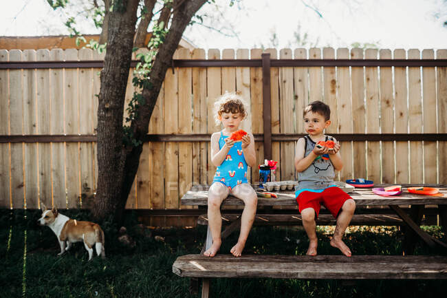 Два маленьких ребенка сидят на столе для пикника и едят арбуз весной. — стоковое фото