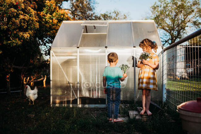 Young kids standing outside backyard green house holding flowers — Stock Photo