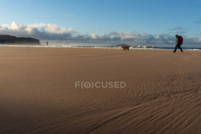 Девушка, гуляющая босиком по пляжу с собакой — стоковое фото