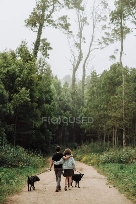 Junges Paar spaziert mit Hunden durch den Park — Stockfoto