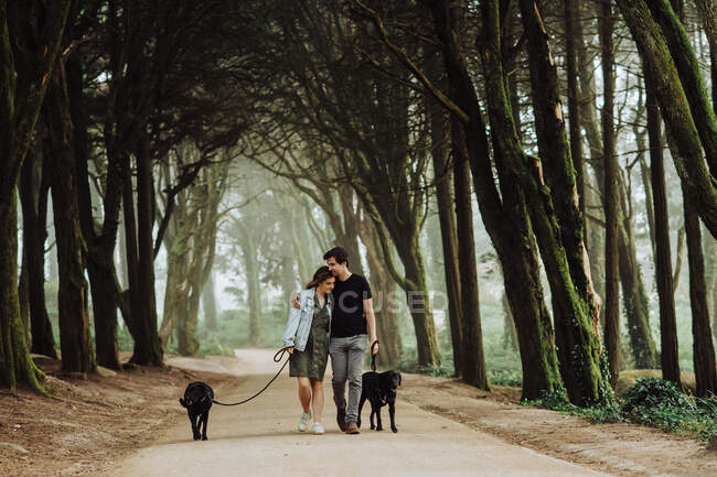 Jeune couple promenant des chiens dans le parc — Photo de stock