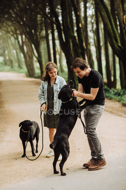 Giovane coppia cani da passeggio nel parco — Foto stock
