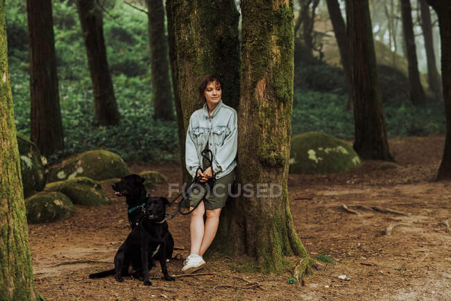 Frau lehnt mit zwei Hunden im Wald an einen bemoosten Baum — Stockfoto