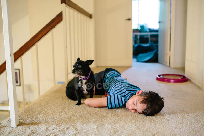 Chico se acuesta adormilado en el rellano de escaleras con su perro - foto de stock