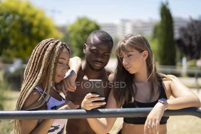 Молоді люди в парку використовують свій смартфон — стокове фото