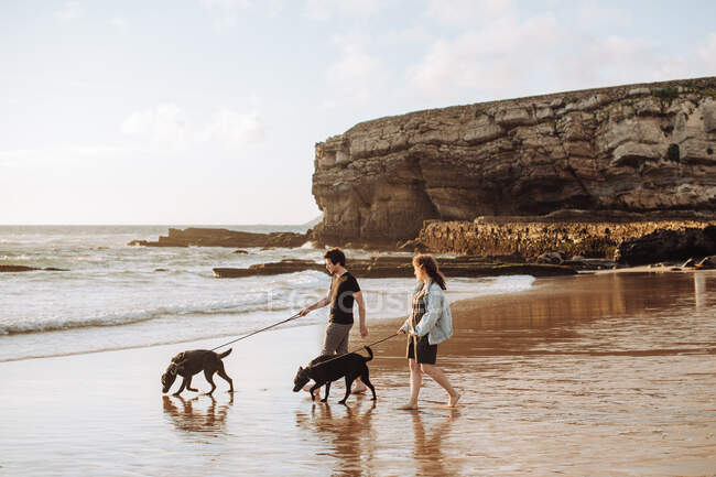 Junges Paar spaziert mit Hunden am Strand — Stockfoto