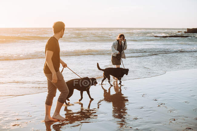 Jeune couple promenant des chiens sur la plage — Photo de stock