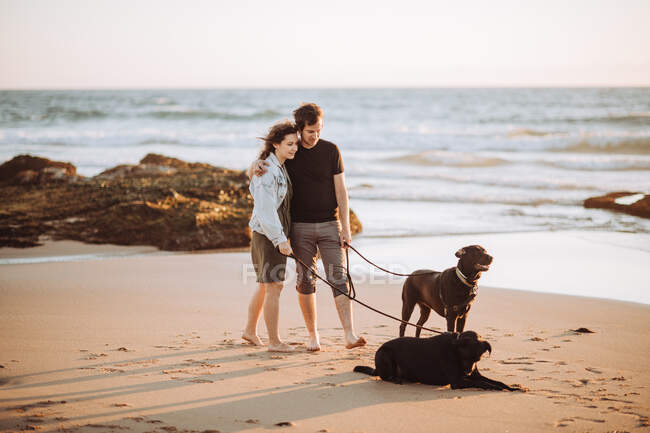 Young couple walking dogs on the beach — Stock Photo
