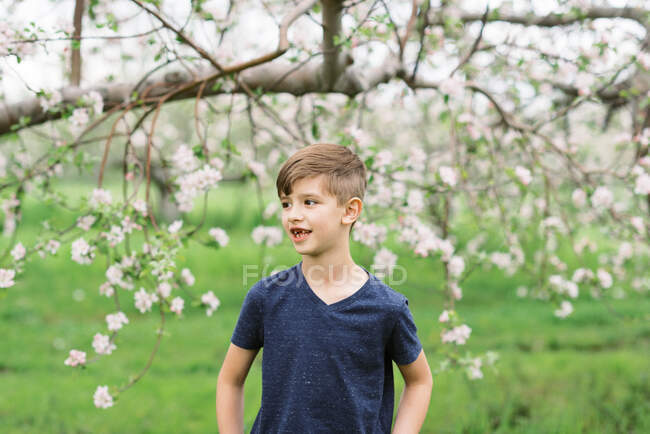Портрет маленького мальчика в саду — стоковое фото