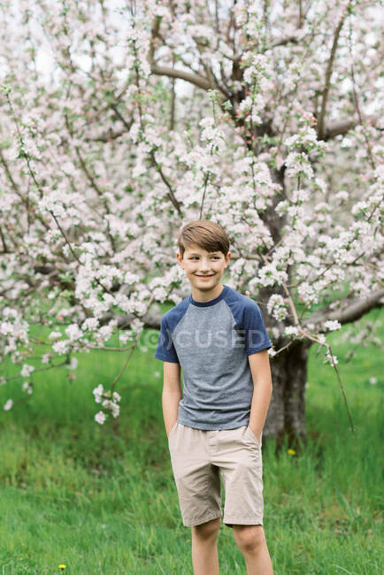 Porträt eines kleinen Jungen in einem Obstgarten — Stockfoto