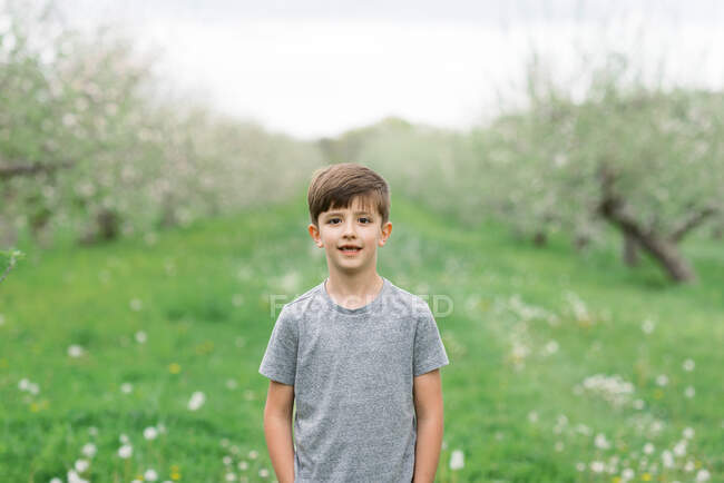 Portrait d'un garçon dans un verger de pommiers — Photo de stock